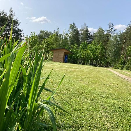 Lesne Zacisze-Pole Namiotowe Hotel Pisklaki Bagian luar foto