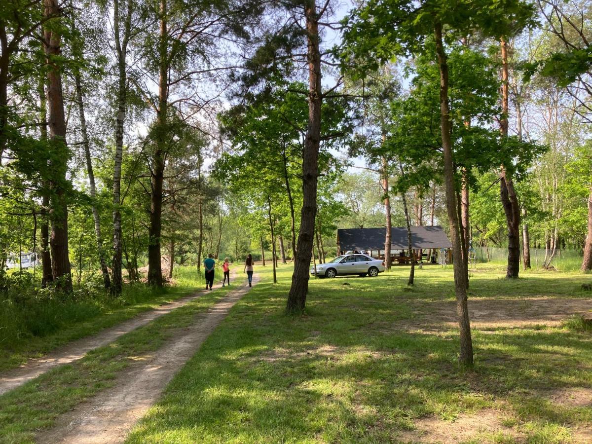 Lesne Zacisze-Pole Namiotowe Hotel Pisklaki Bagian luar foto
