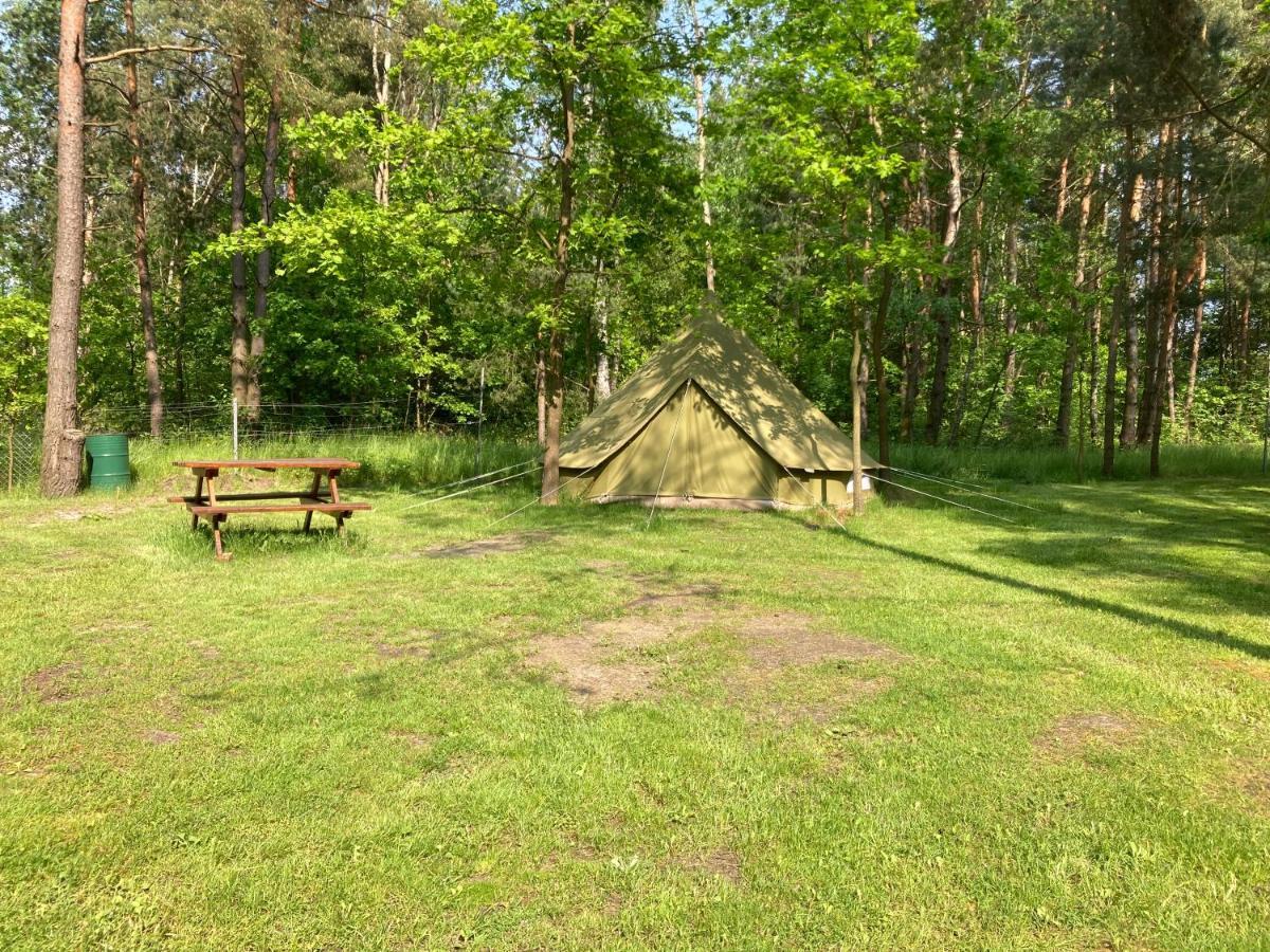 Lesne Zacisze-Pole Namiotowe Hotel Pisklaki Bagian luar foto